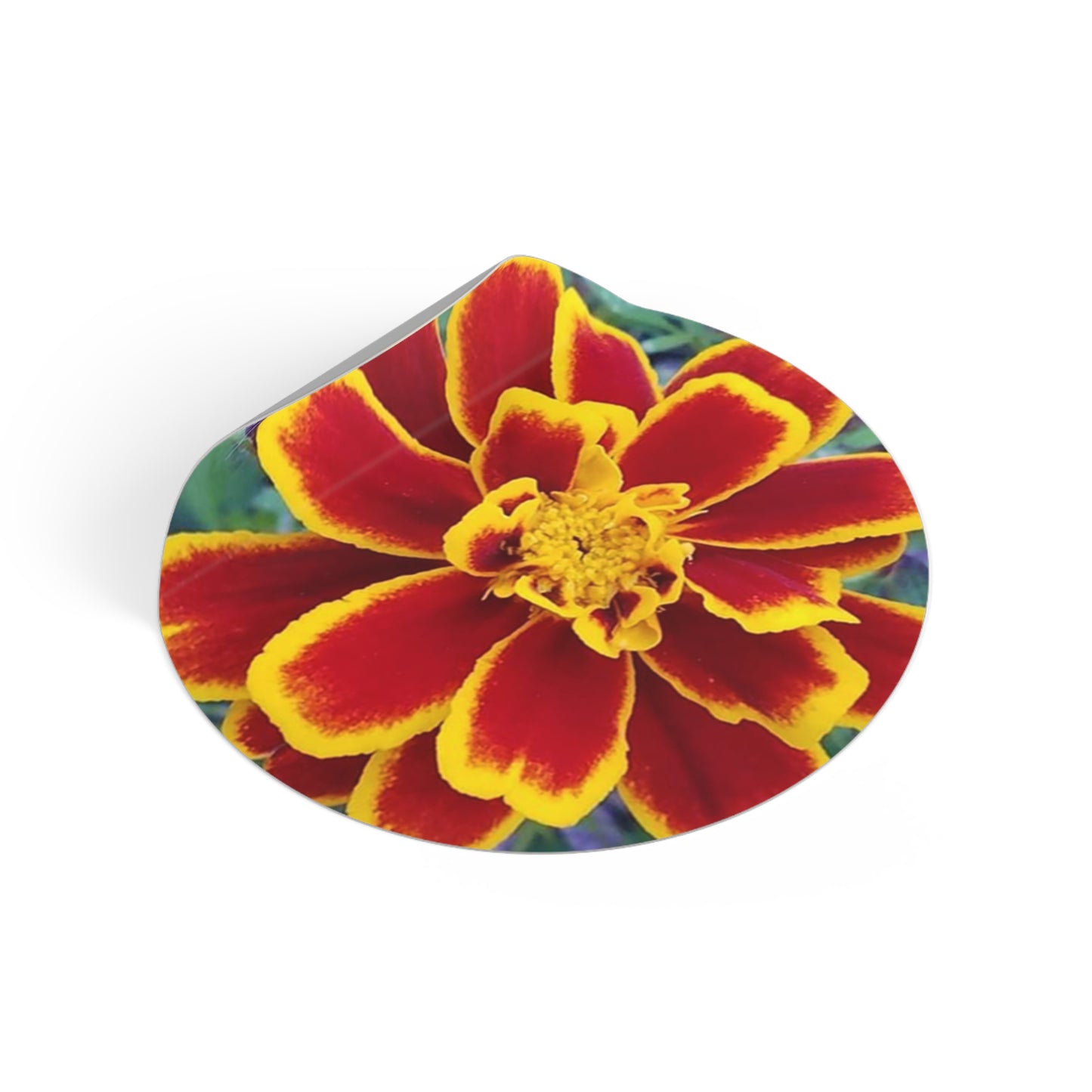 "Gregorio's Flowers" Vinyl Stickers #2