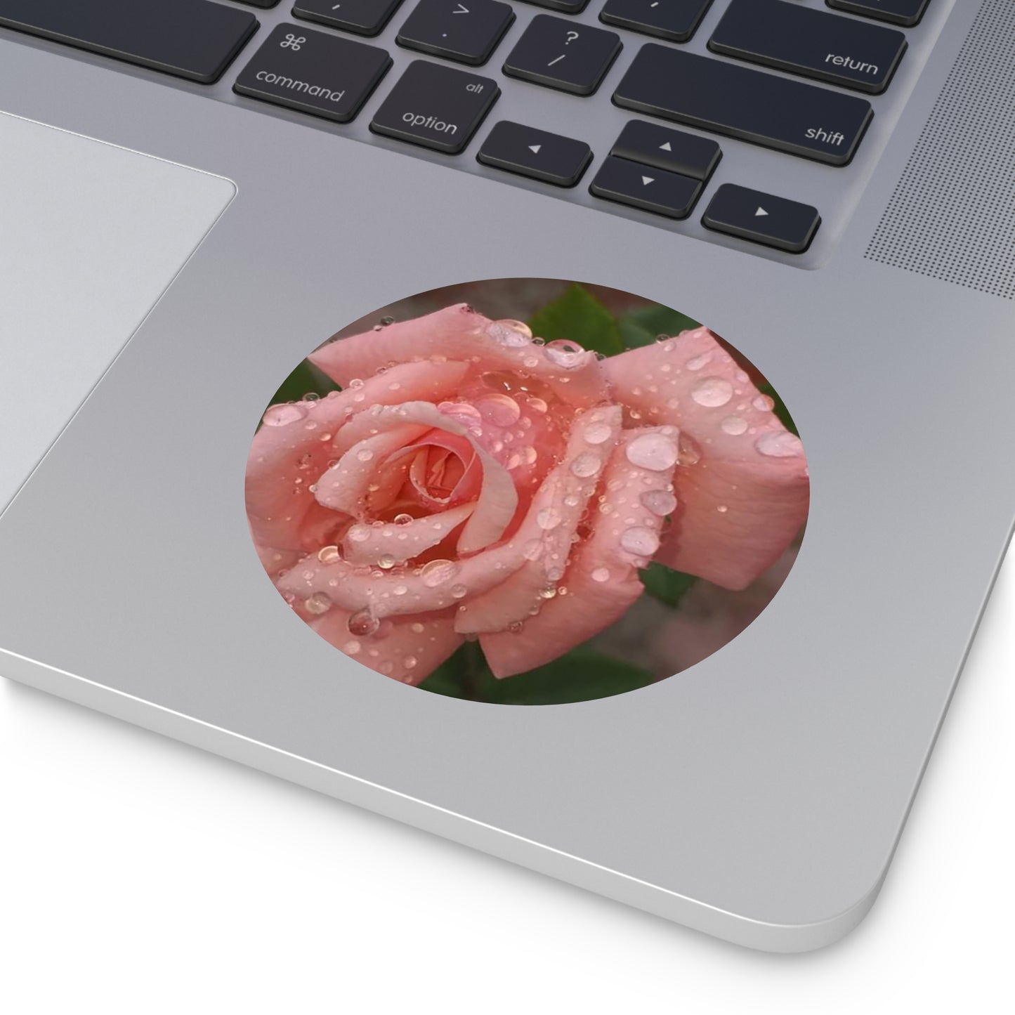 "Gregorio's Flowers" Vinyl Stickers #1