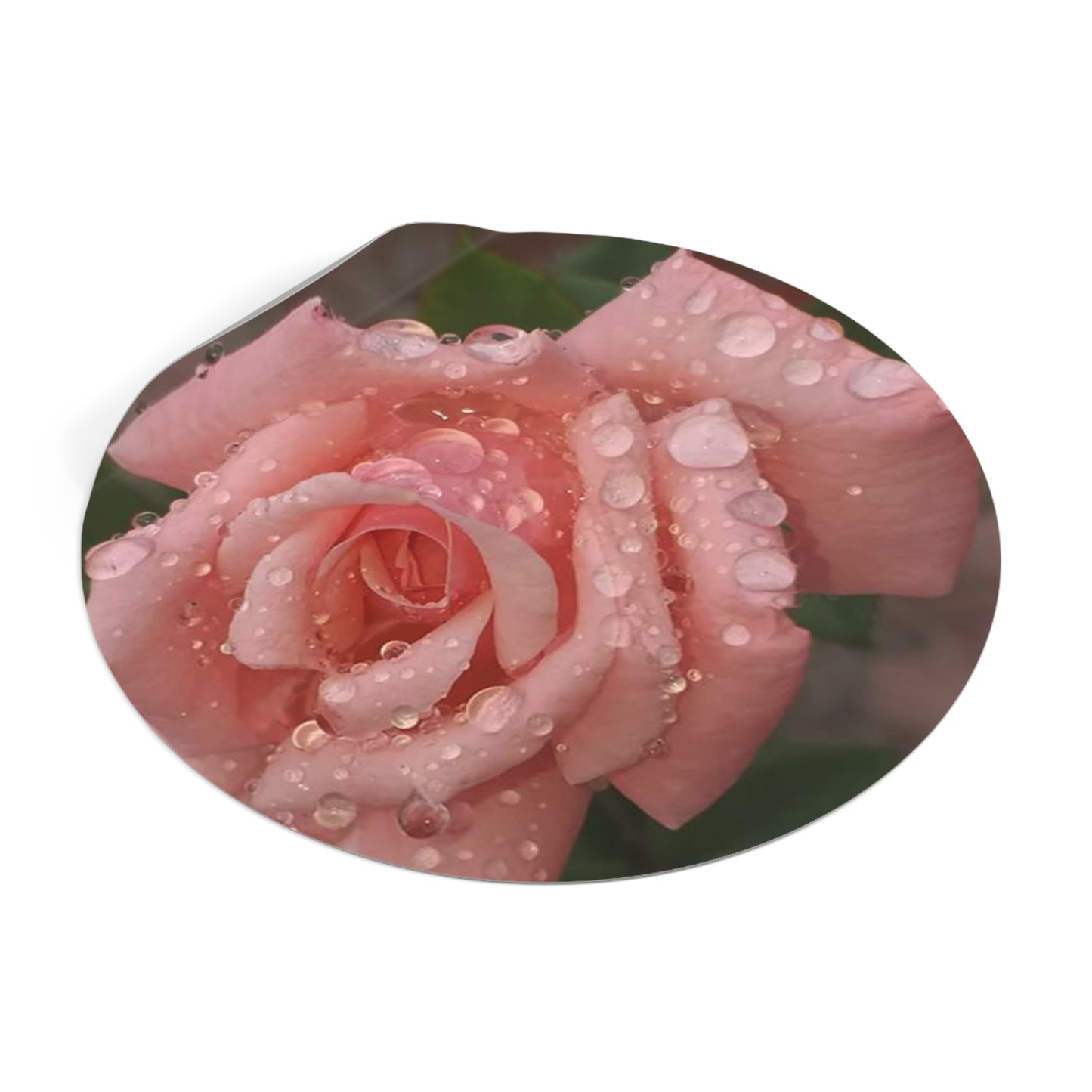 "Gregorio's Flowers" Vinyl Stickers #1