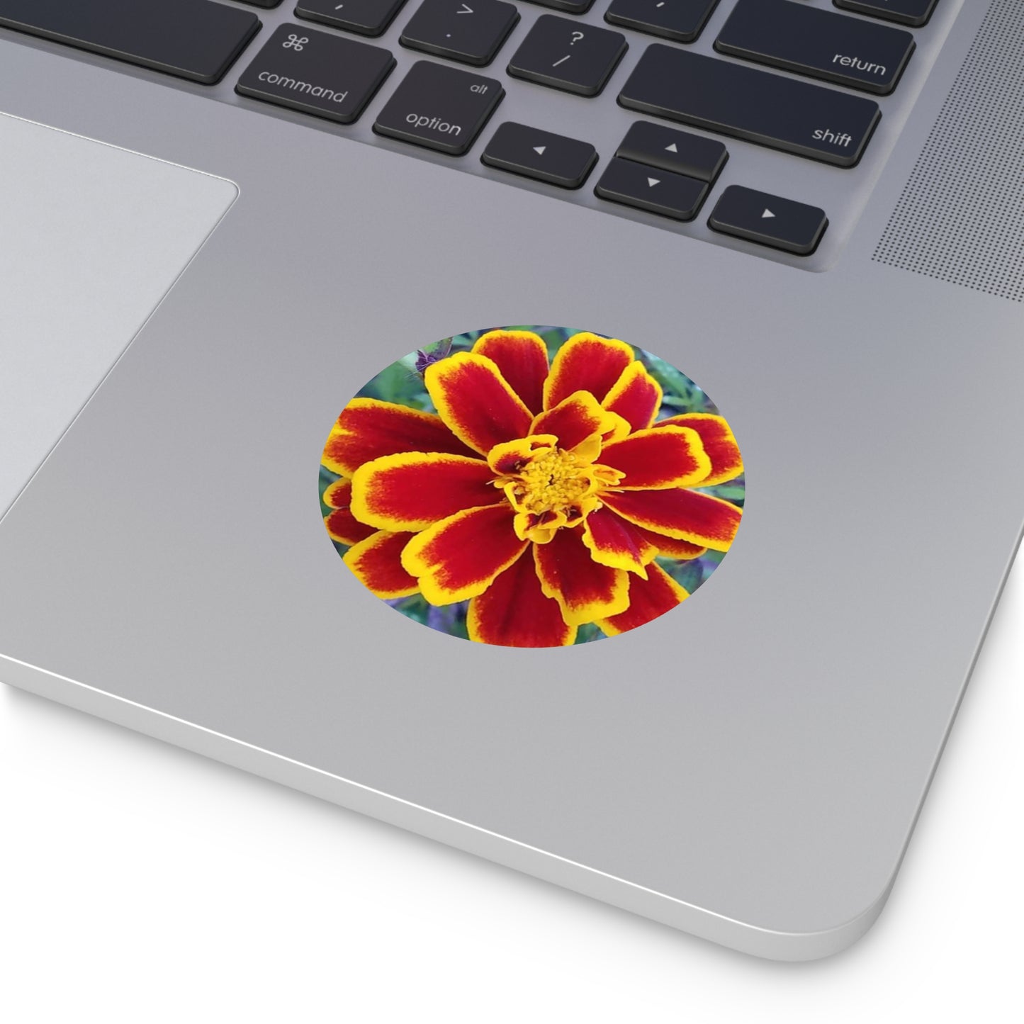 "Gregorio's Flowers" Vinyl Stickers #2