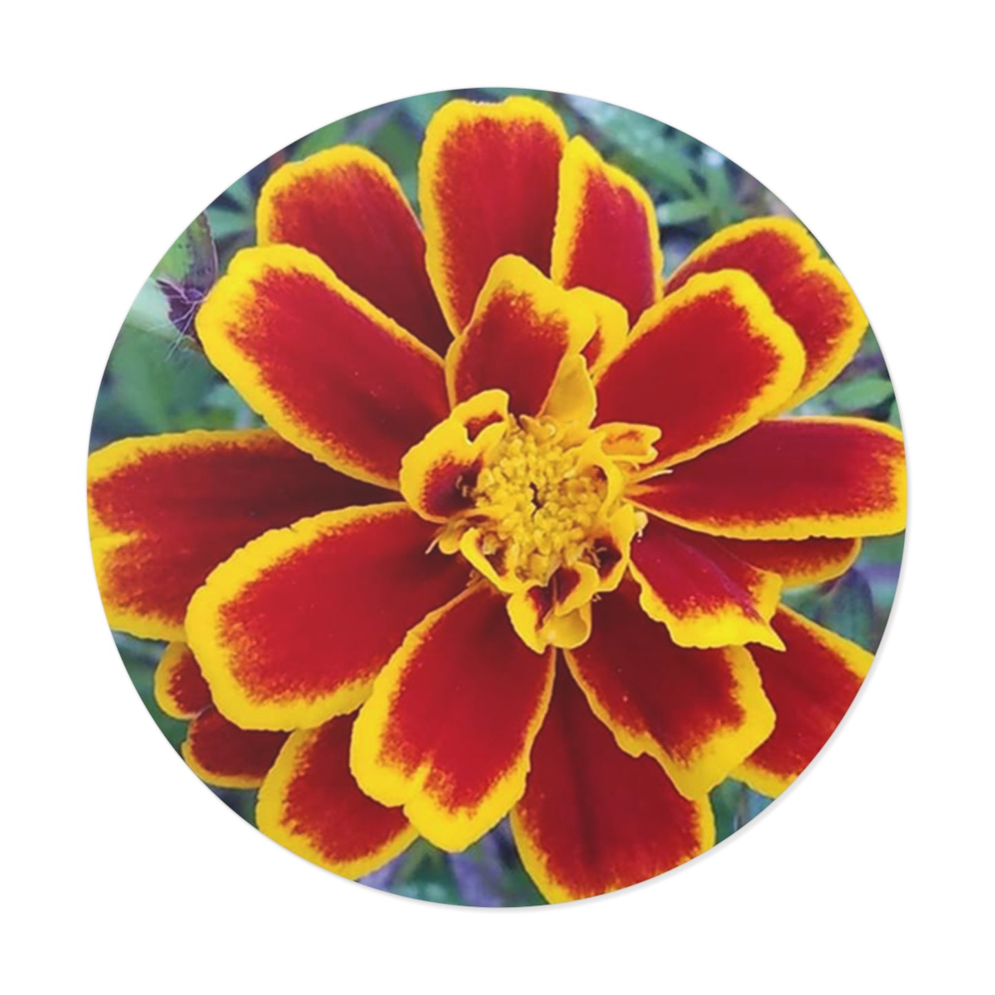 "Gregorio's Flowers" Vinyl Stickers #2
