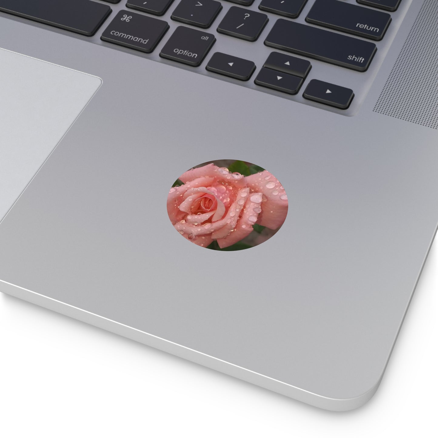 "Gregorio's Flowers" Vinyl Stickers #1
