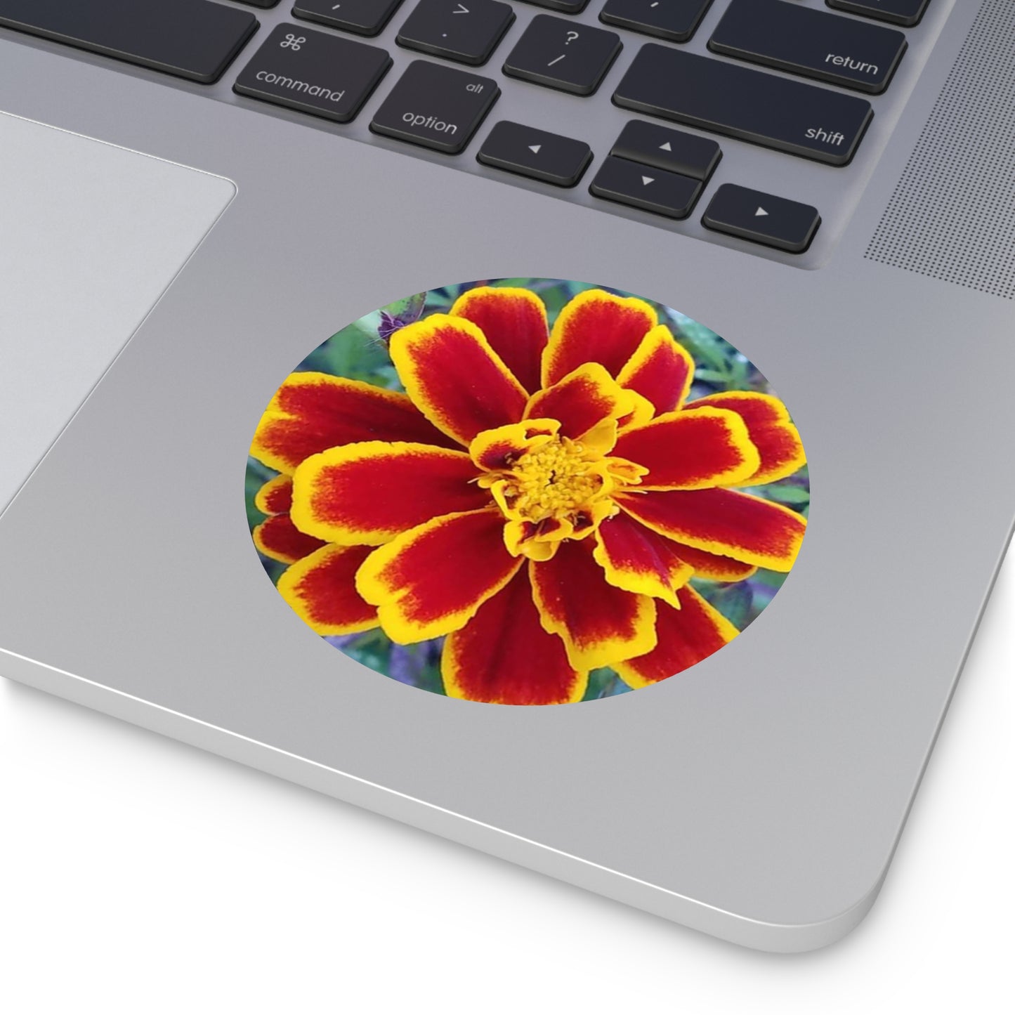 "Gregorio's Flowers" Vinyl Stickers #2