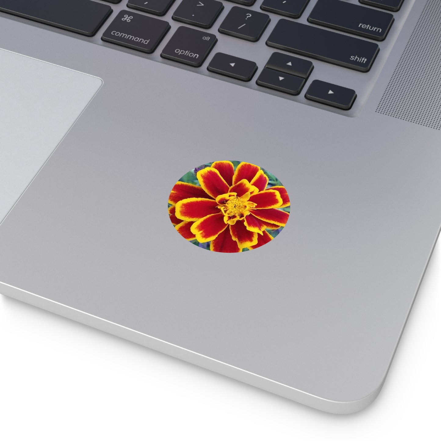 "Gregorio's Flowers" Vinyl Stickers #2