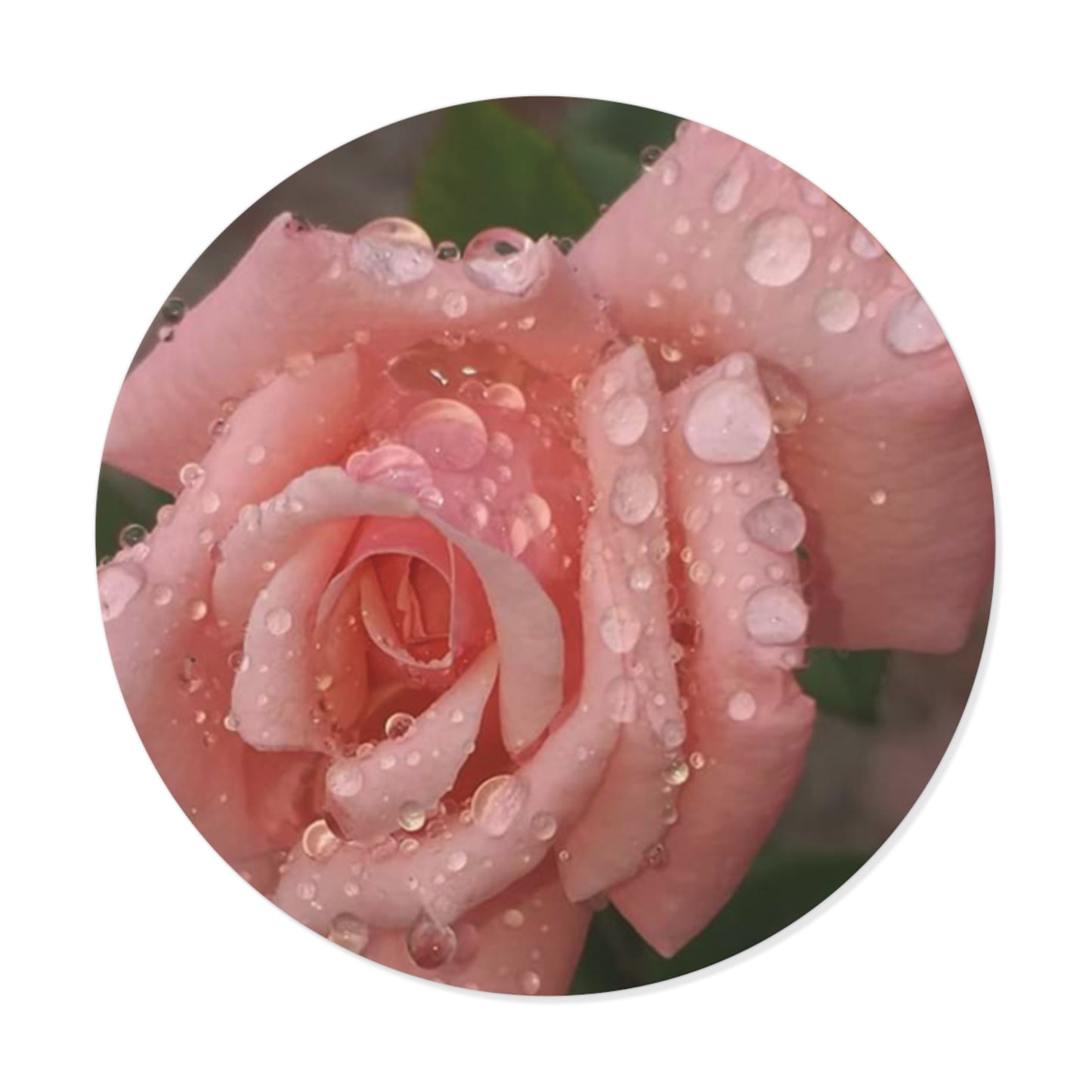 "Gregorio's Flowers" Vinyl Stickers #1