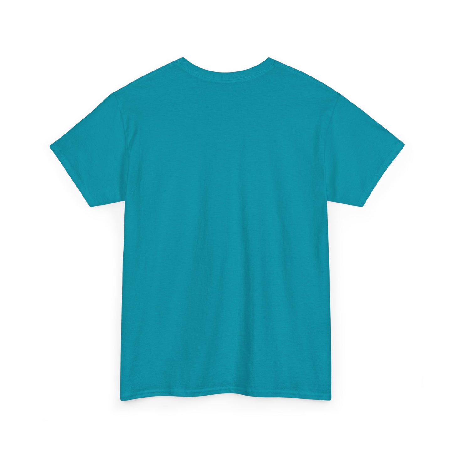 NON-COMPLIANT t-shirt