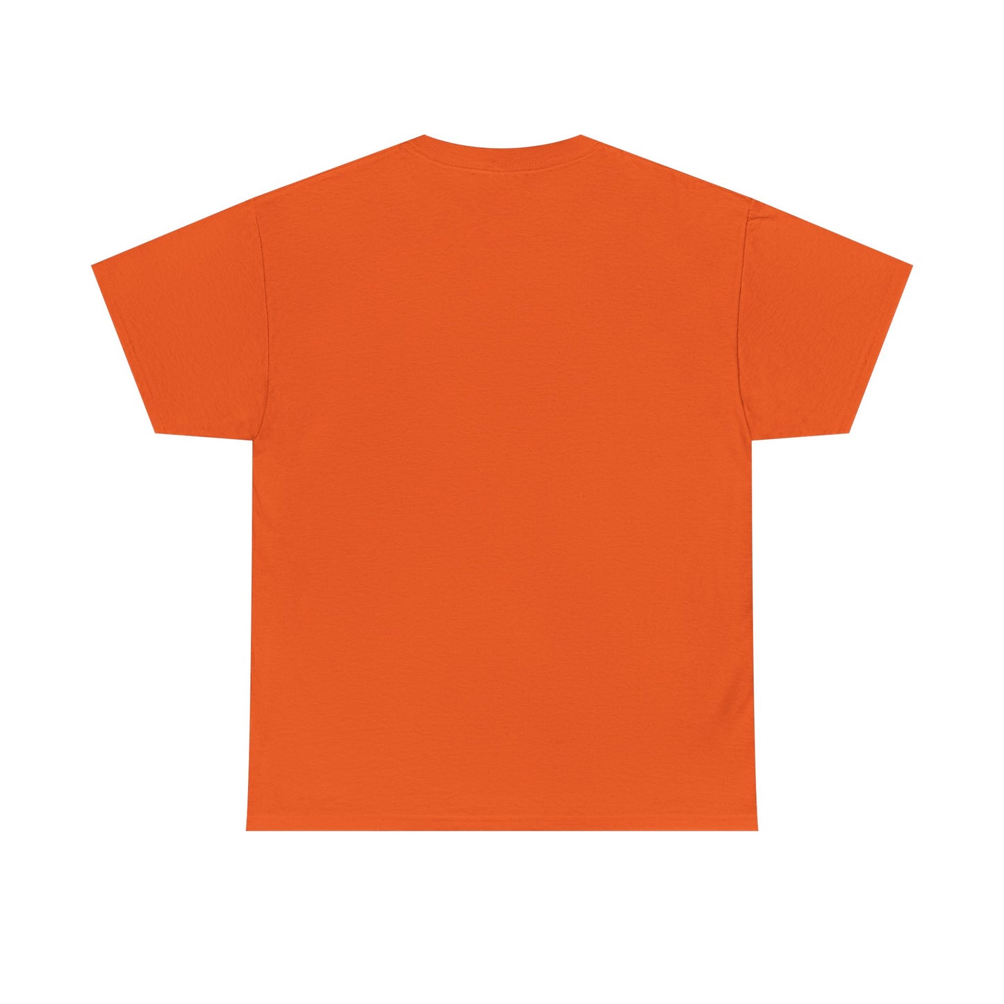 NON-COMPLIANT t-shirt