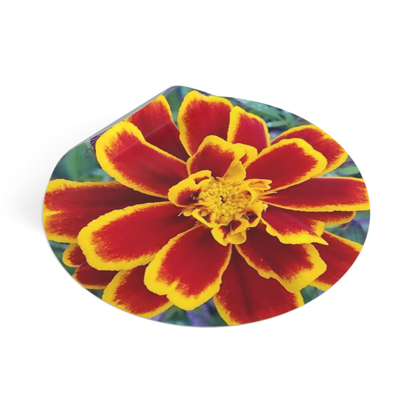 "Gregorio's Flowers" Vinyl Stickers #2