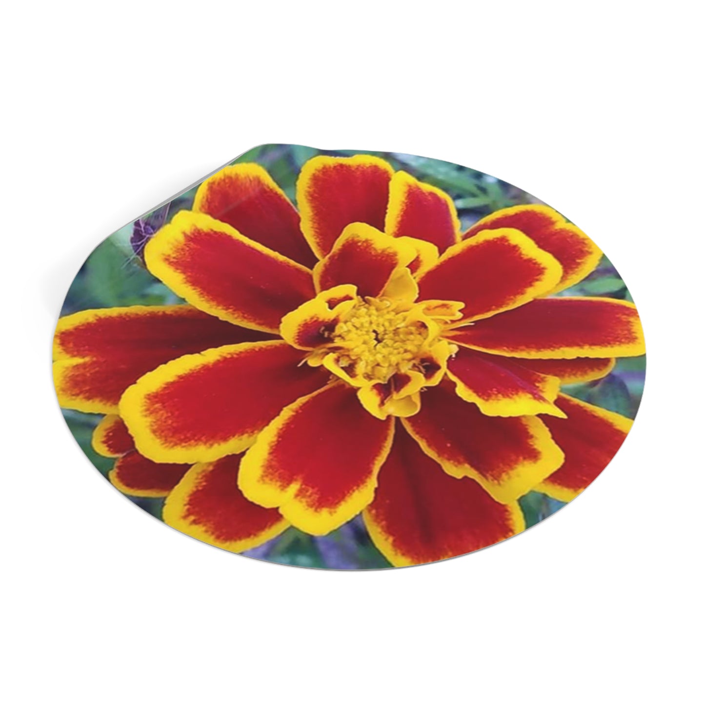"Gregorio's Flowers" Vinyl Stickers #2