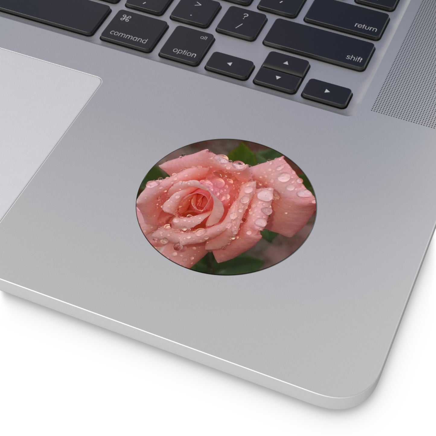 "Gregorio's Flowers" Vinyl Stickers #1