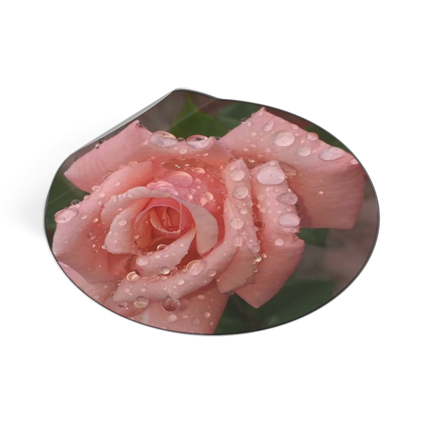 "Gregorio's Flowers" Vinyl Stickers #1