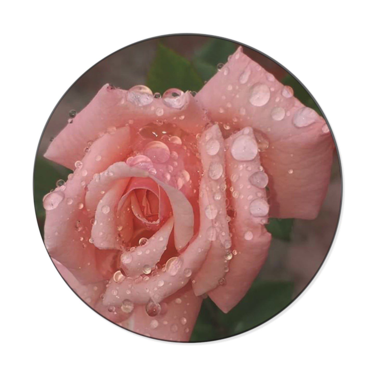 "Gregorio's Flowers" Vinyl Stickers #1