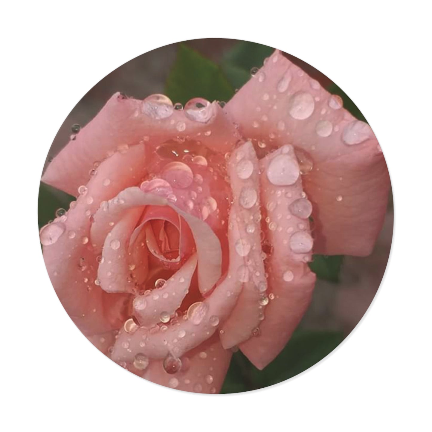 "Gregorio's Flowers" Vinyl Stickers #1