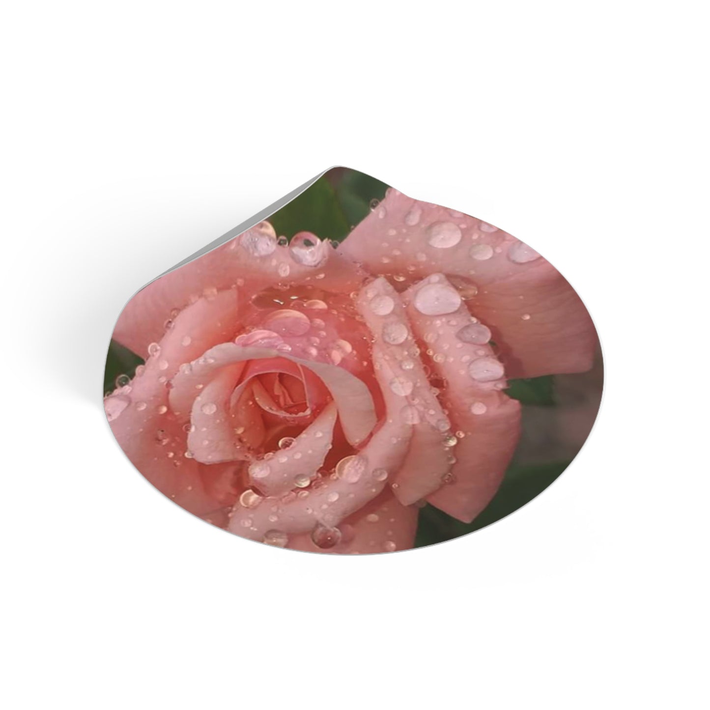 "Gregorio's Flowers" Vinyl Stickers #1