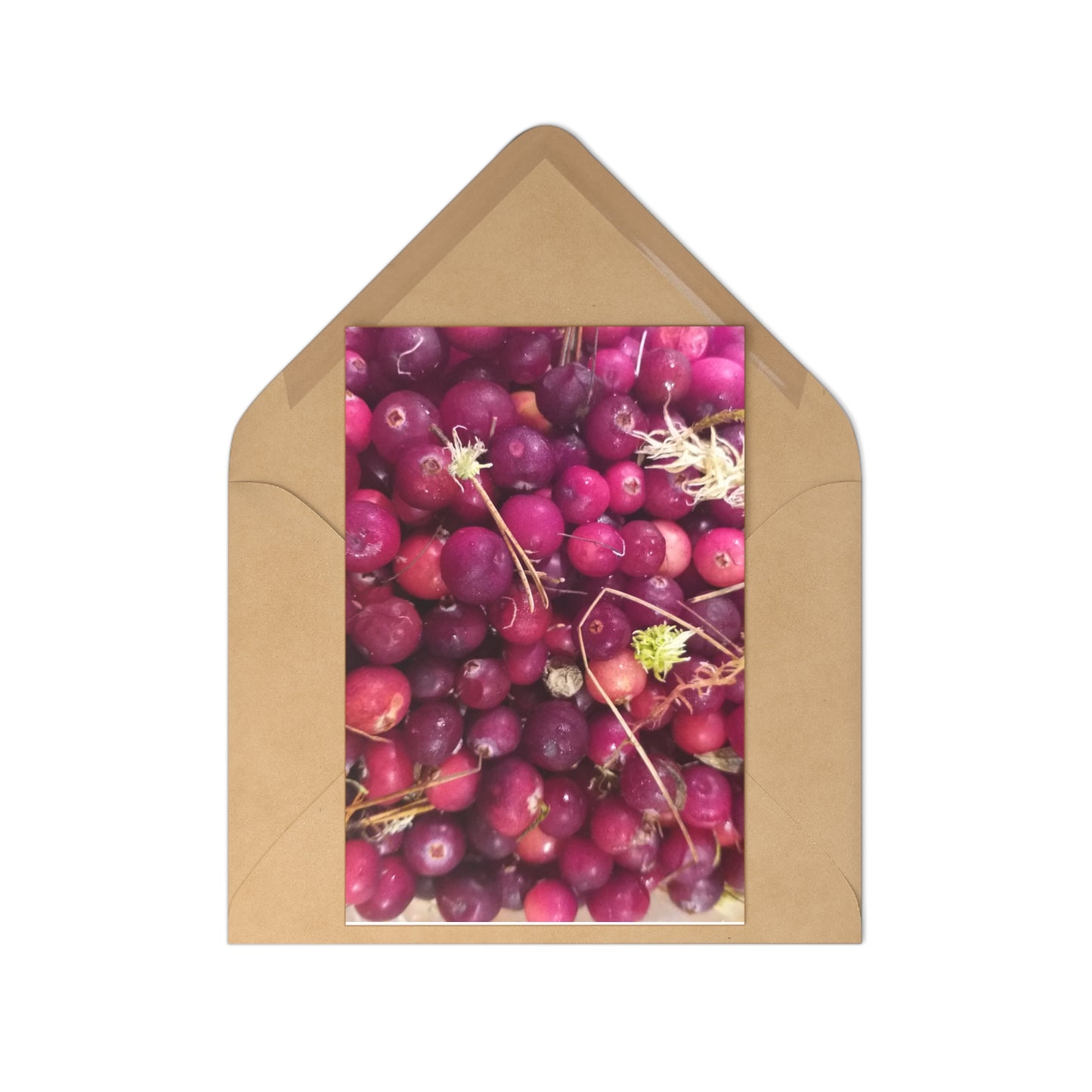 Welcome to My Reality Postcard Series: These Berries were Smuggled from a Bog near St. Petersburg, Russia, by a Grandmother, & I tasted them in the Outskirts of Amsterdam, The Netherlands