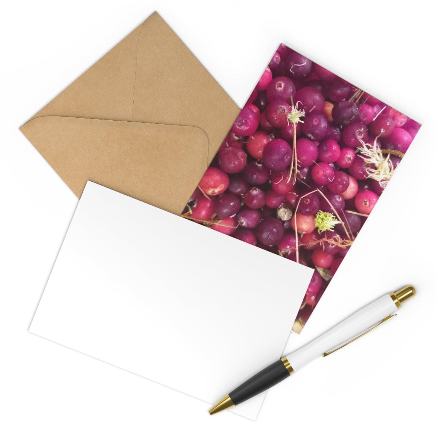 Welcome to My Reality Postcard Series: These Berries were Smuggled from a Bog near St. Petersburg, Russia, by a Grandmother, & I tasted them in the Outskirts of Amsterdam, The Netherlands