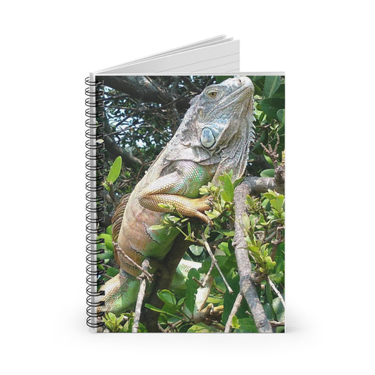 Iguana in Tampico - notebook