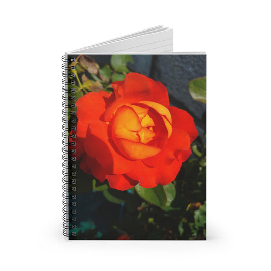 Orange Rose Notebook