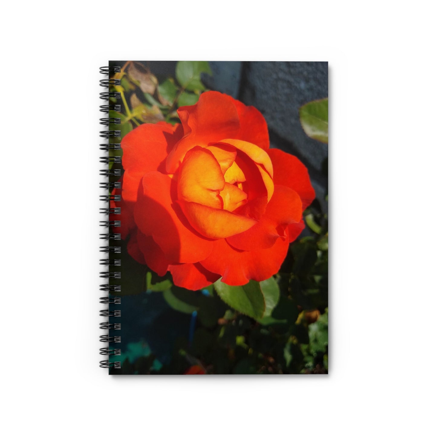 Orange Rose Notebook