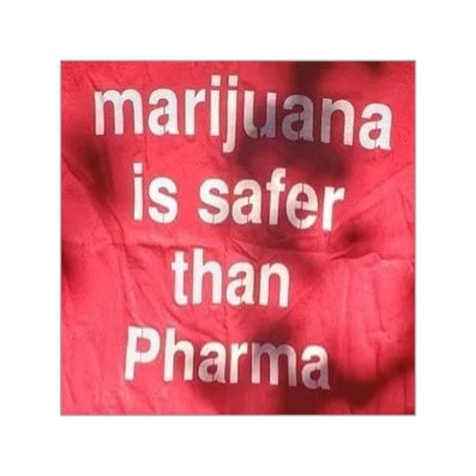 "Marijuana is Safer than Pharma" Sticker