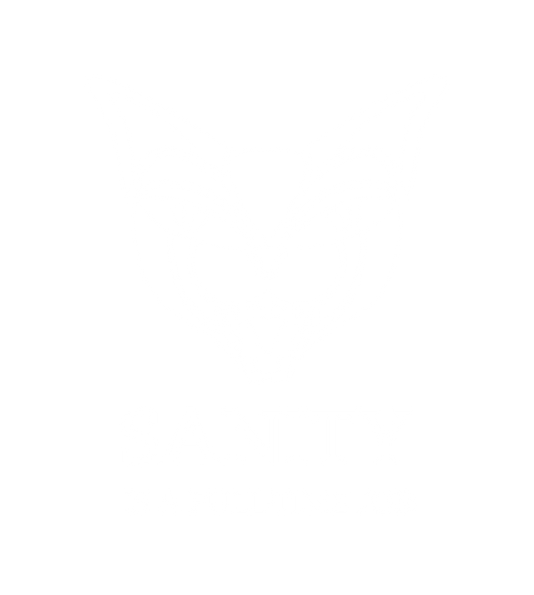 Sanity is a Full-Time Job